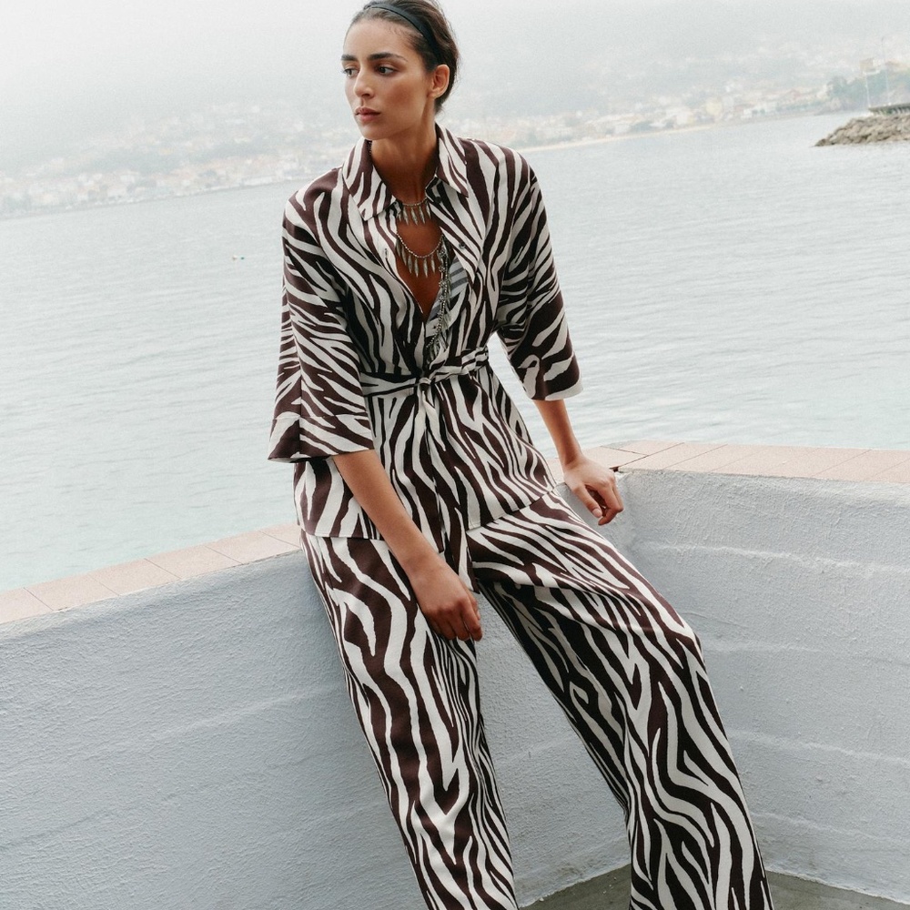 Zara 2-Piece Set - Animal Print Safari Shirt and Pants - XS